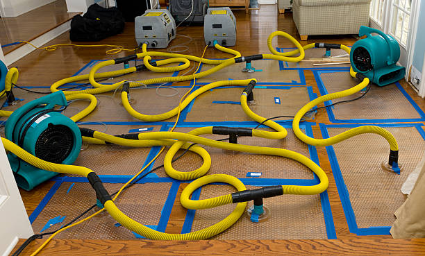 Professional Water Damage Restoration technician working in Banks, ID